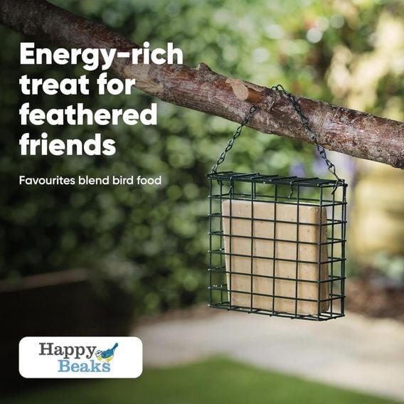Happy Beaks - Insect & Mealworm Suet Blocks
